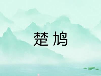 楚鸠