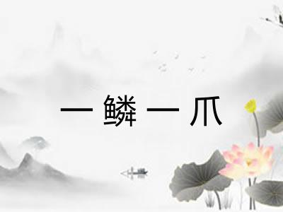 一鳞一爪