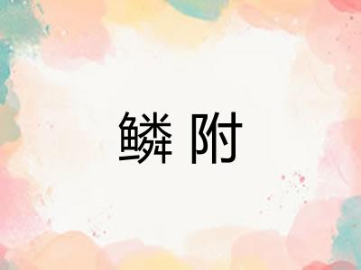 鳞附