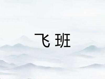 飞班