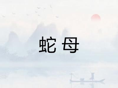 蛇母