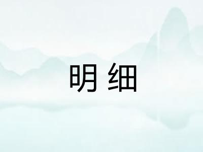 明细