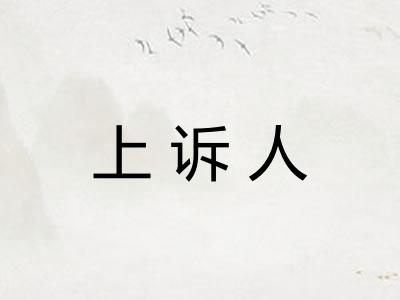 上诉人