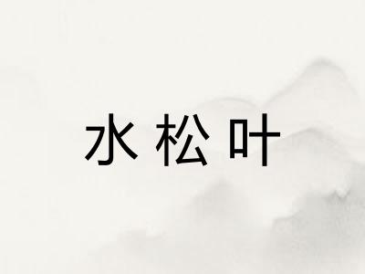 水松叶