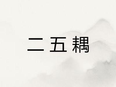 二五耦