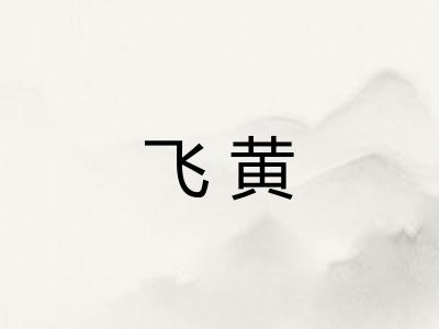 飞黄