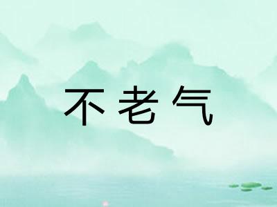 不老气