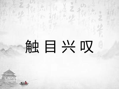 触目兴叹