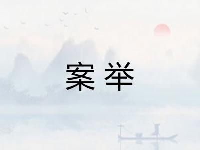 案举