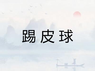 踢皮球