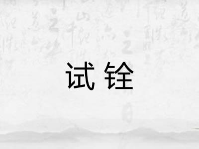 试铨