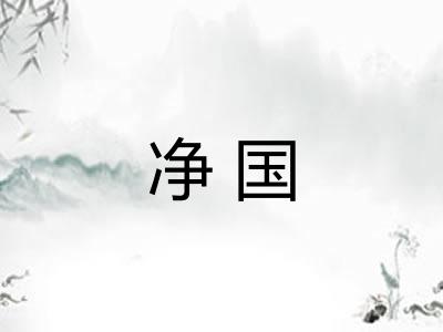 净国