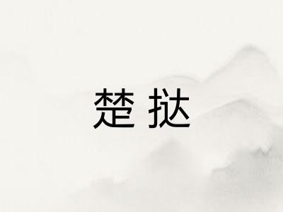 楚挞