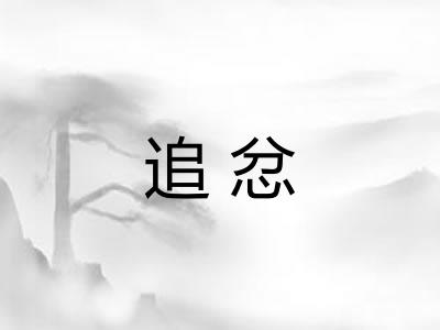 追忿