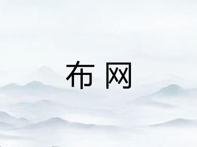 布网 布网