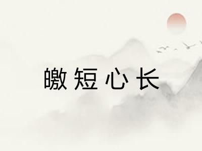 皦短心长
