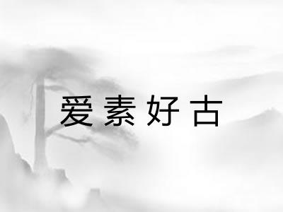 爱素好古