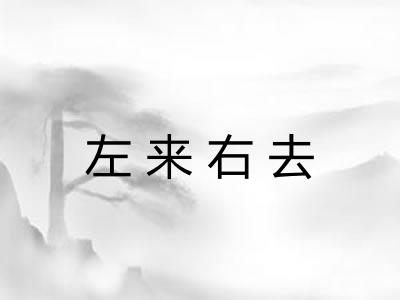 左来右去