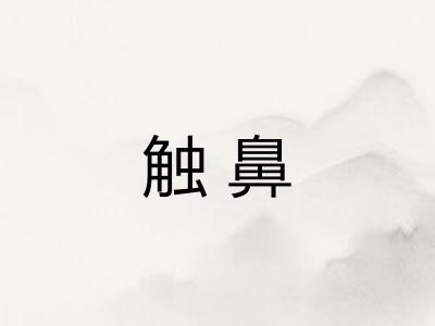 触鼻