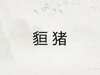 貆猪