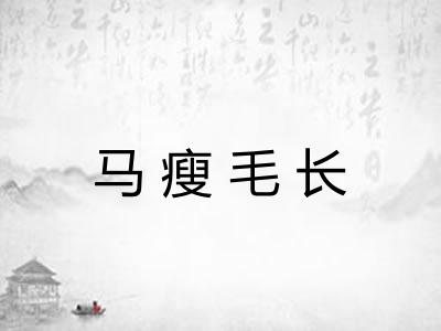 马瘦毛长