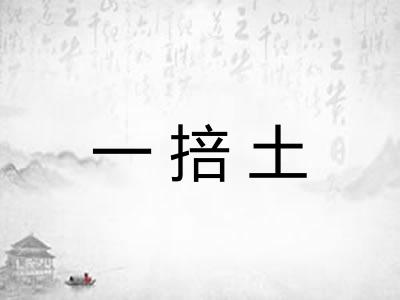 一掊土