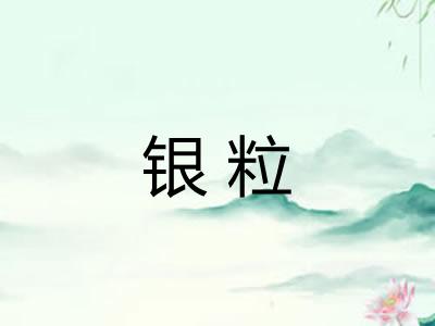 银粒