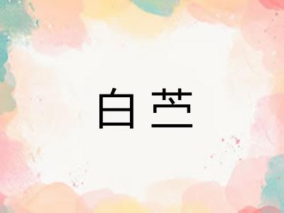 白苎