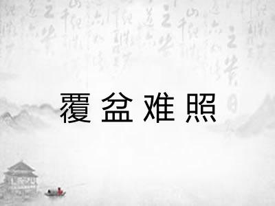 覆盆难照