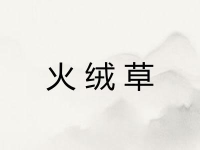 火绒草