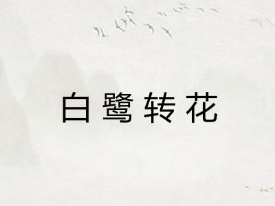 白鹭转花