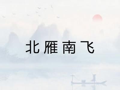北雁南飞