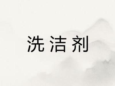 洗洁剂