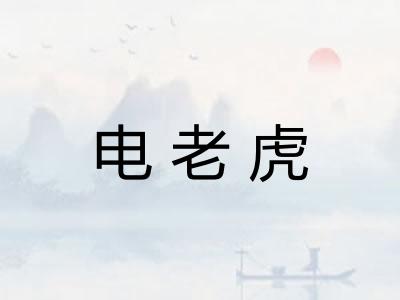 电老虎