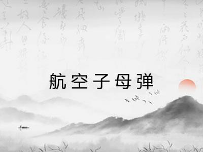 航空子母弹