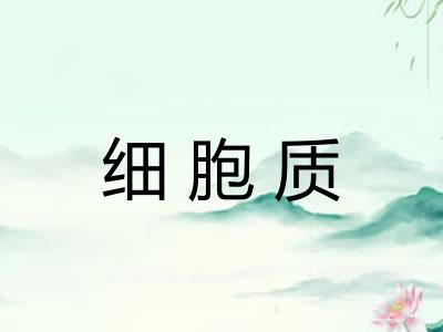 细胞质