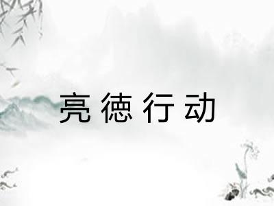 亮徳行动