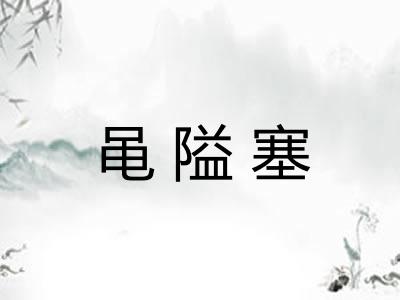 黾隘塞