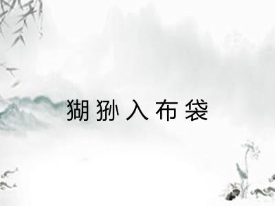 猢狲入布袋