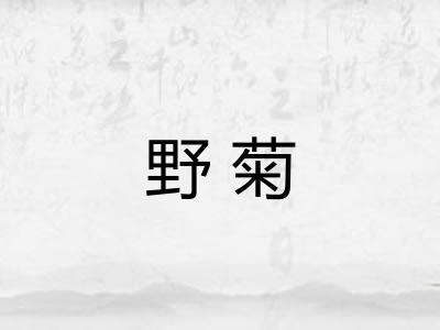 野菊