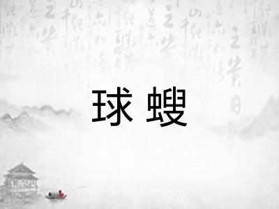 球螋