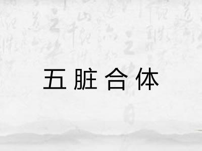 五脏合体