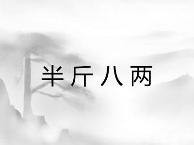 半斤八两