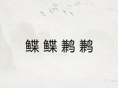 鲽鲽鹣鹣