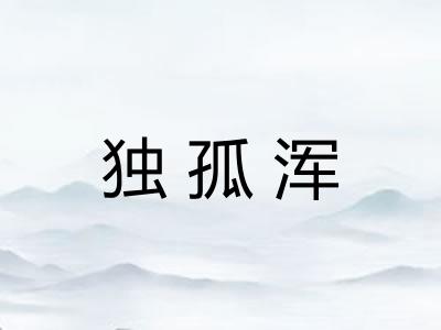 独孤浑
