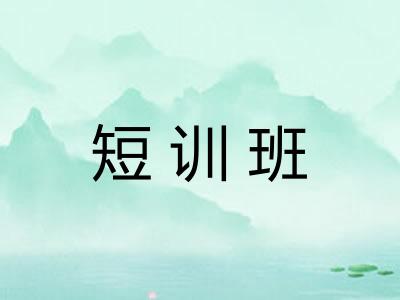 短训班