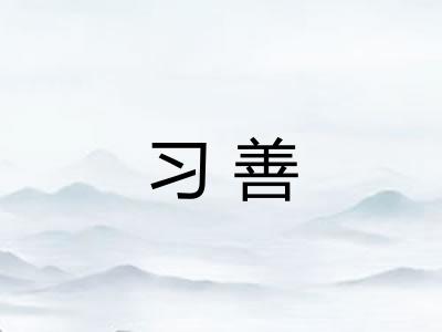 习善