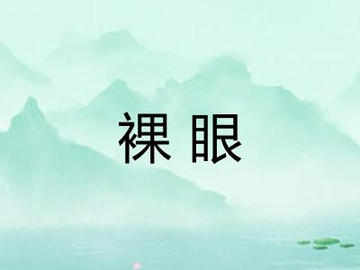 裸眼 裸眼