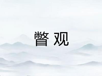瞥观