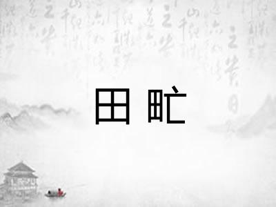 田甿